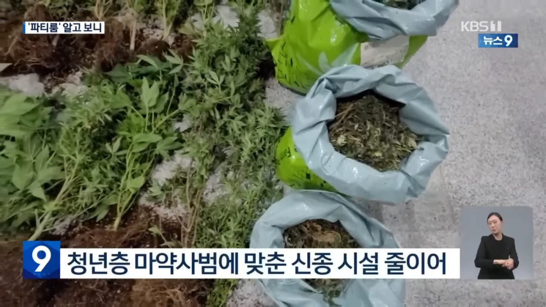 韩国禁毒失败启示录：扫毒不彻底，等于彻底不扫毒