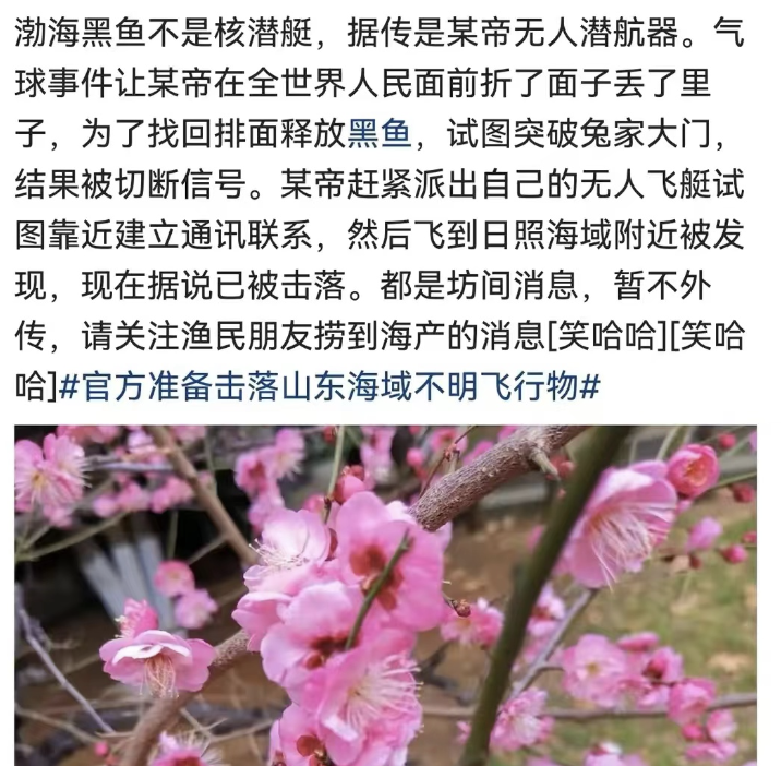 抓“大黑鱼”？昨天，全网都在渤海“打捞”美军核潜艇