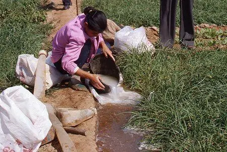 国家1号文件连蚯蚓都保护了，粮食安全问题到底多严峻？