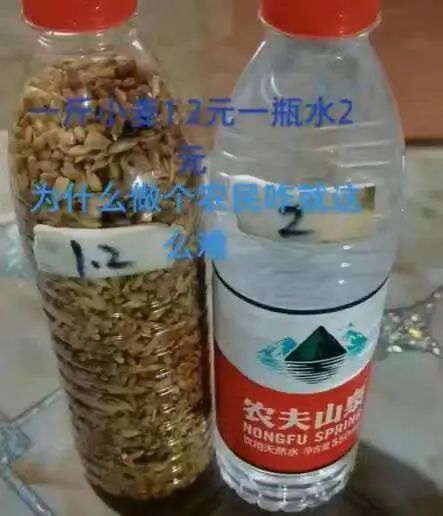 国家1号文件连蚯蚓都保护了，粮食安全问题到底多严峻？