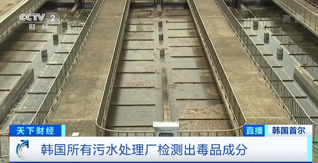 韩国禁毒失败启示录：扫毒不彻底，等于彻底不扫毒