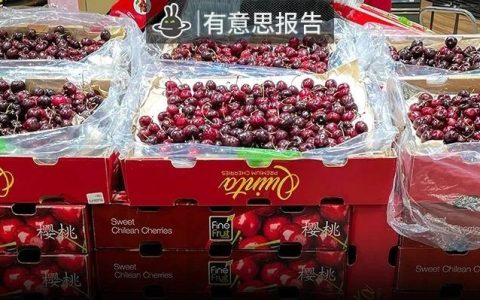 对不起，车厘子降价了我还是吃不起