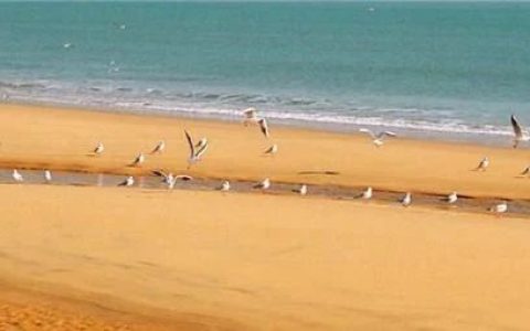 对美以牙还牙？山东日照附近海域发现不明飞行物？官方：正准备击落！