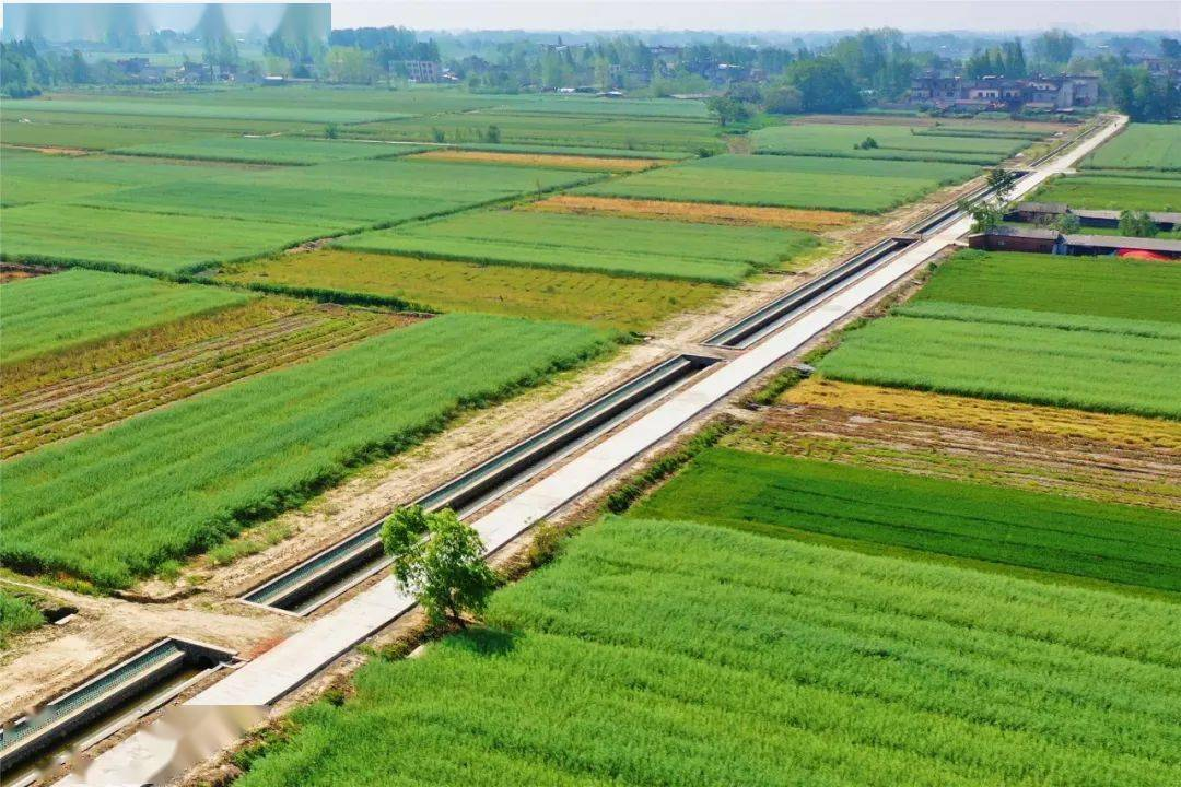 国家1号文件连蚯蚓都保护了，粮食安全问题到底多严峻？