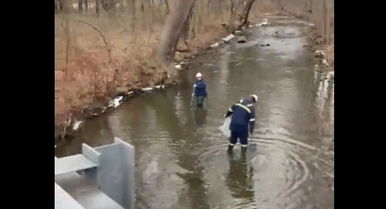 随笔 | 这真是一道美丽的风景线....