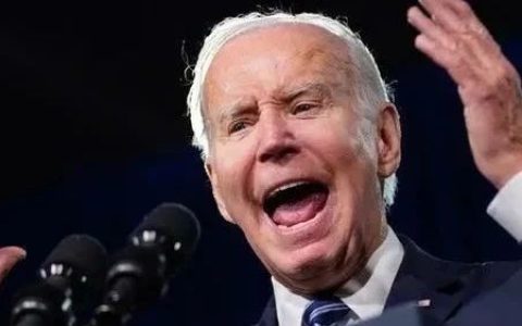 毁灭台湾计划？藏在“失言”里的真心话