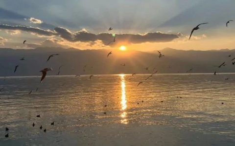 销售只招985和海归，成都到底有多卷