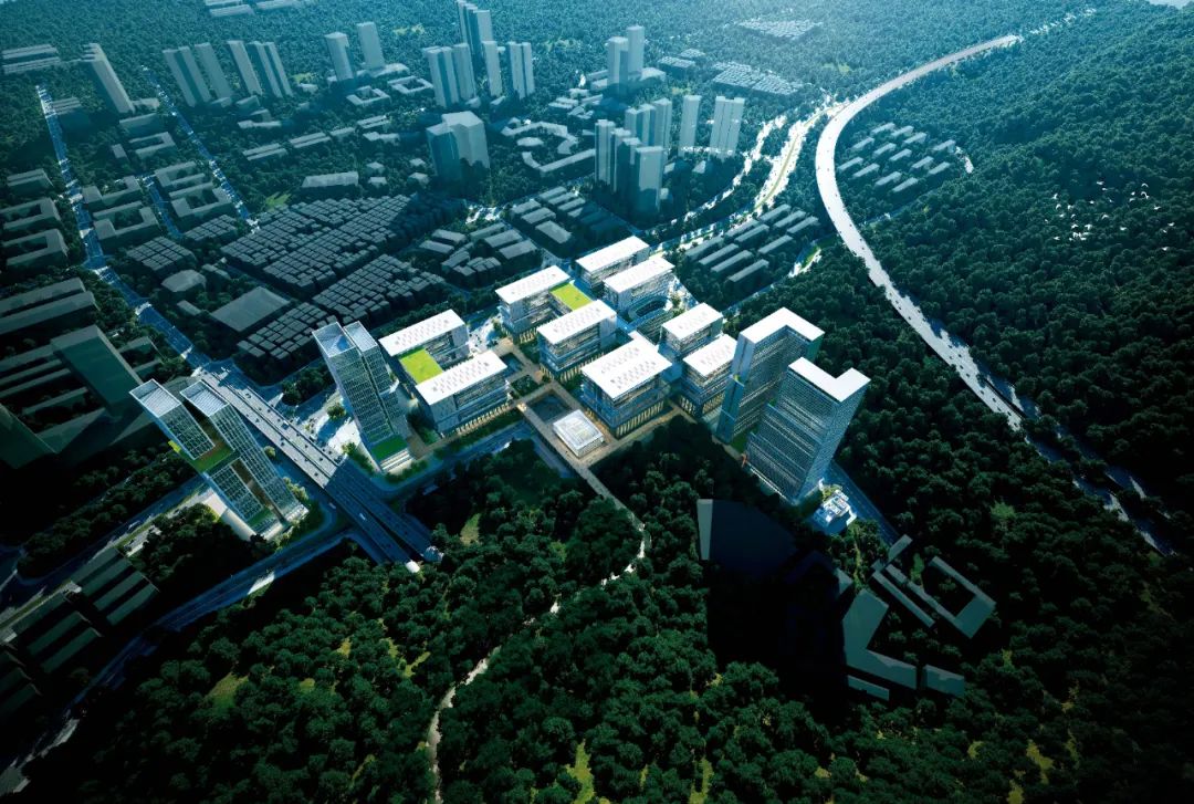 深圳太“挤”！工厂都开始上楼了