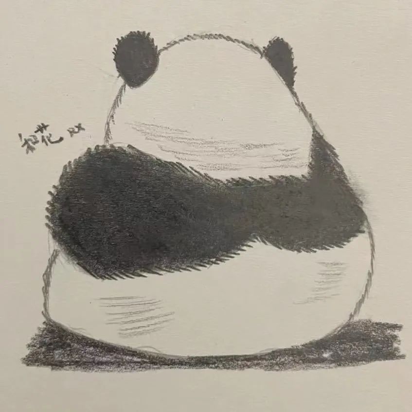 普通熊猫花花，是如何成为顶流的？