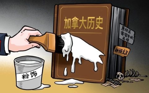 又是加拿大！又是无名儿童墓！