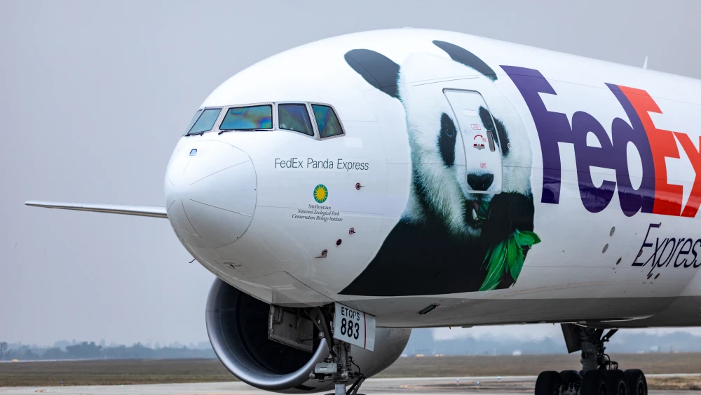 出国的大熊猫，有多「值钱」
