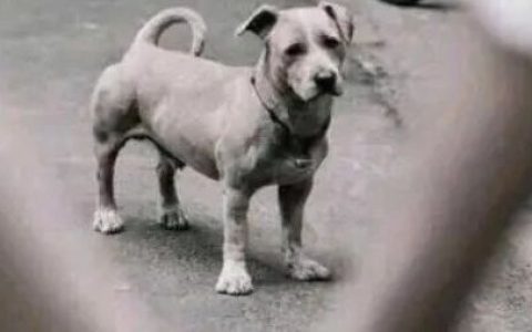 随笔 | 中国赢了，最愤怒的不是美国日本，而是它们！