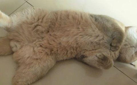 提高警惕，来自欧美的金融危机还在发酵！