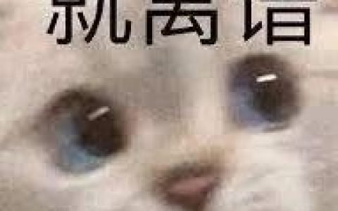 人在泰国，刚刚被噶？真是离了个大谱