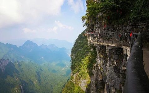 潜伏在年轻人中的“约死群”