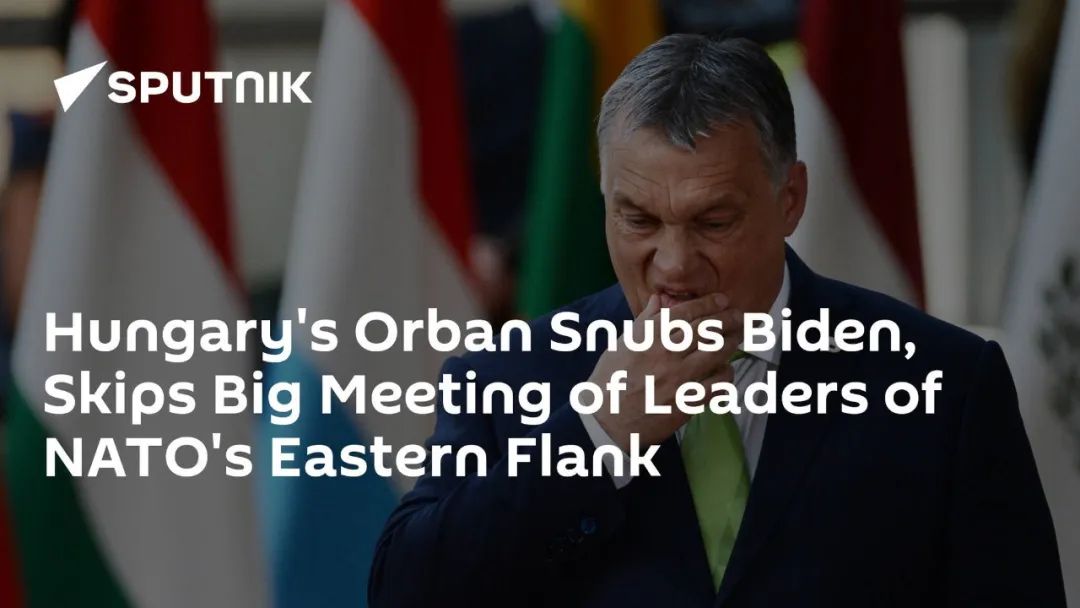 这个欧盟成员，为何成了美国的“对手”