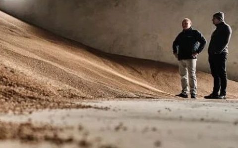 事关乌粮食，欧盟向东欧五国屈服了？