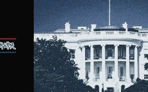 “去美元化”去向何方？