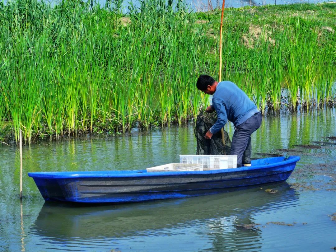 谁是中国的“小龙虾第一城”？