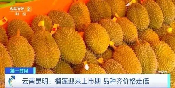 榴莲大降价的背后，是中国铁路重塑东南亚陆权！