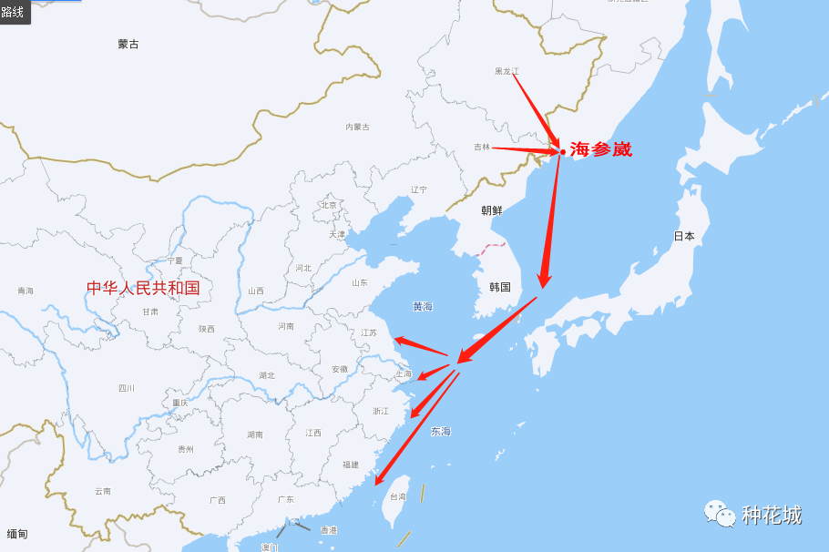海参崴再成中国出海口，具有的3方面意义！