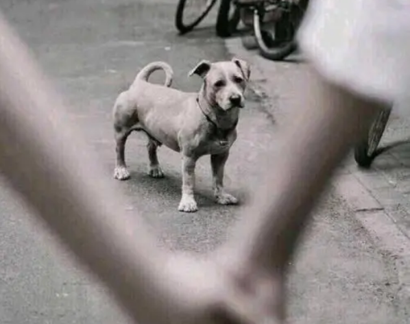 随笔 | 恨国党魔改的这条新闻，骗了我们整整10年！