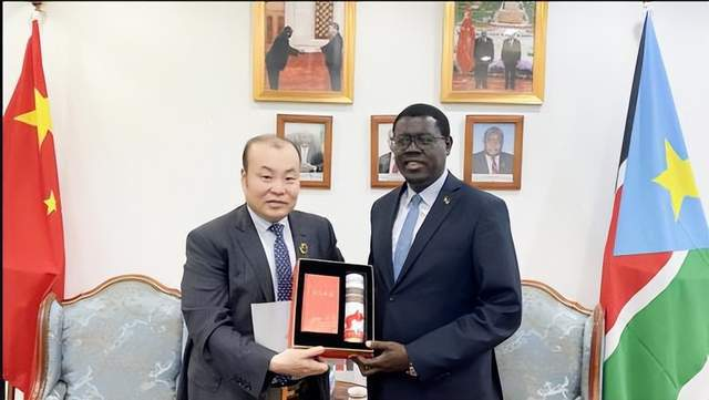 中国海军赴非洲撤侨1300多人，人走了10多亿美元资产怎么办？