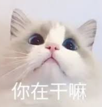 吉林延边的“韩国依赖症”，靠海参崴来结束？