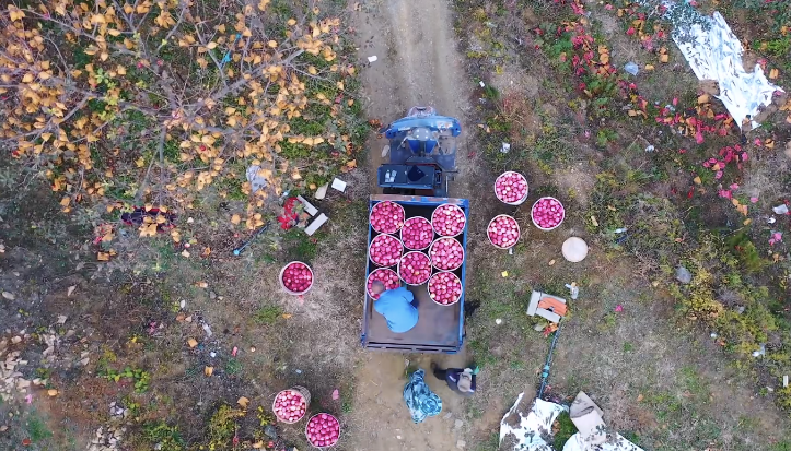 淄博烧烤最“可怕”的点，怎么还没人提？