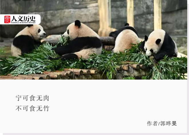 大熊猫为什么离不开竹子？