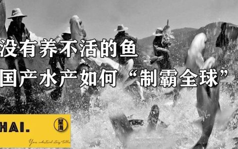 没有养不活的鱼！国产水产如何“制霸全球”？