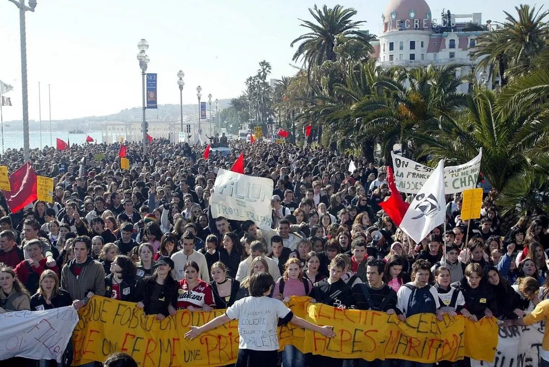 巴黎鼠患成灾，市长宣布用老鼠共存
