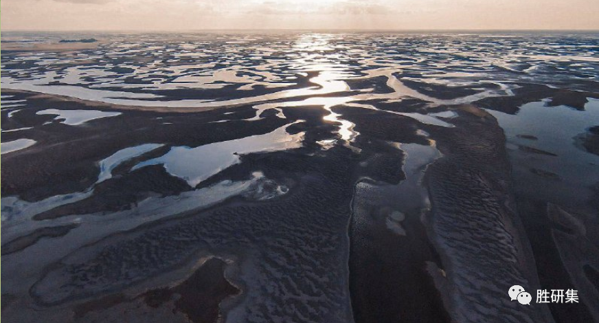 乌军为啥主动踢铁板，而不攻击巴赫穆特的立足未稳？