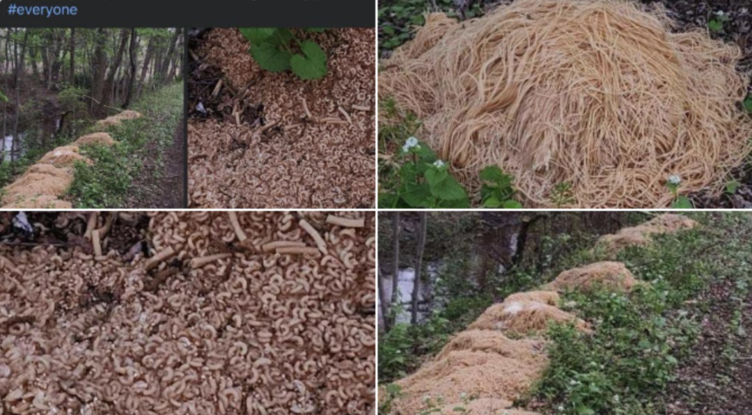 不开玩笑，神秘组织“飞天意面神教”传到了中国