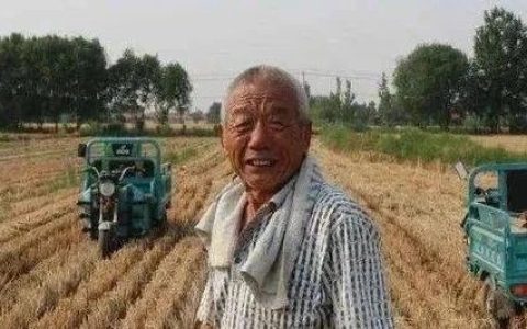 河南小麦抢收，非得用《三分天灾，七分人祸》这么惊悚的标题吗？