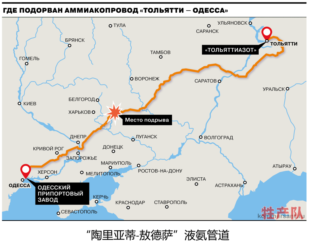 世界第一液氨管道被炸，对全球粮食安全意味着什么？