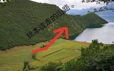 高德地图说前面有路那就一定有路，再奇葩也是路