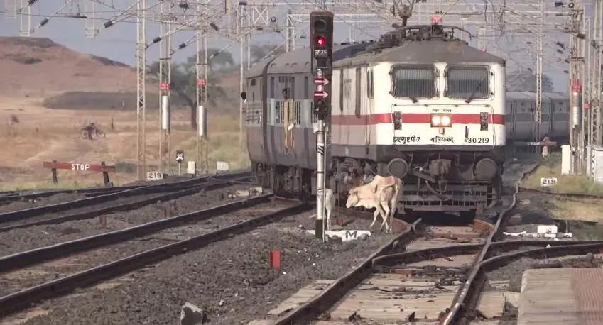 每天随机撞死70人，每年上万印度人死于火车事故，印度基建为什么这么拉？