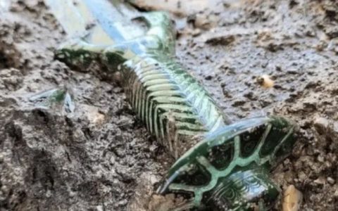 3000年前的青铜剑？