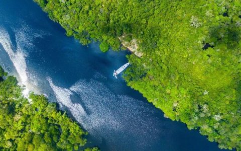 重磅！全球ESG大事件