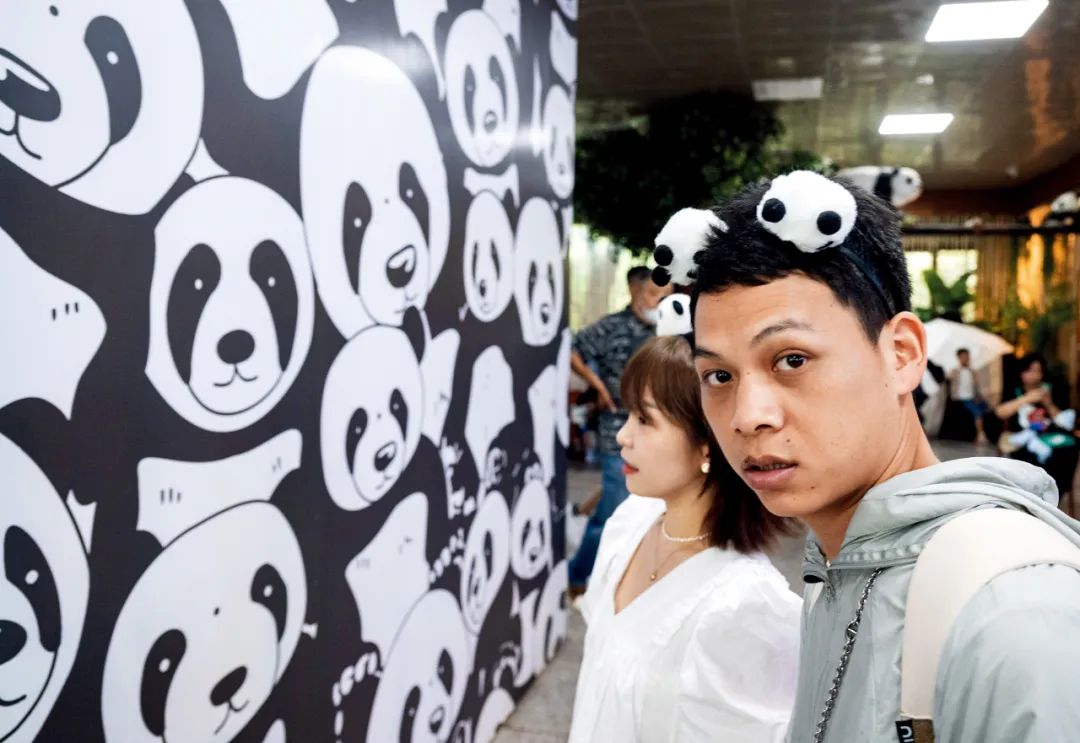 熊猫“饭圈化” 边界在哪里？