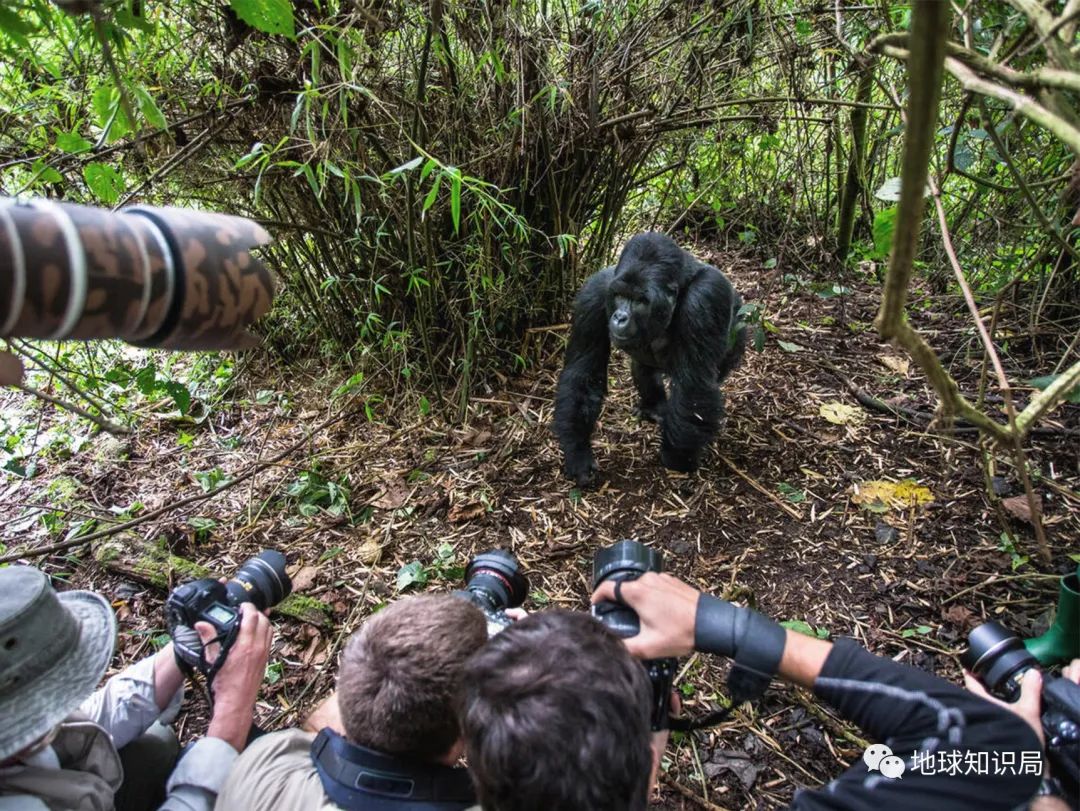 这个国家，正在成为非洲版新加坡