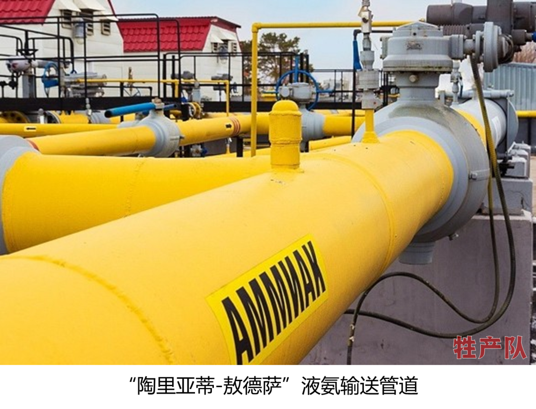 世界第一液氨管道被炸，对全球粮食安全意味着什么？