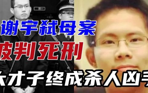 为什么某些人一定要给恶性杀人犯找杀人的理由？