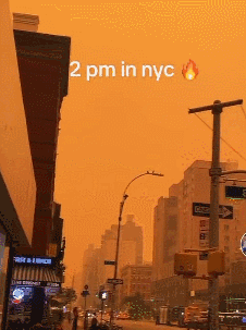 纽约3小时"沦陷"，宛如"末世地狱"