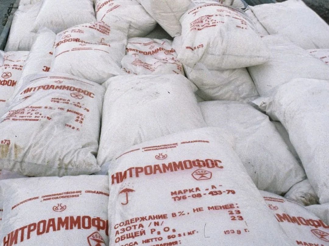 世界第一液氨管道被炸，对全球粮食安全意味着什么？