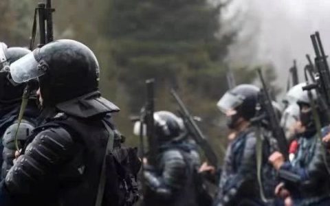 俄罗斯版蒋介石与张学良