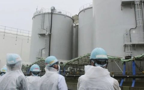 为了排核污染水，日本向它“行贿”100万欧元？