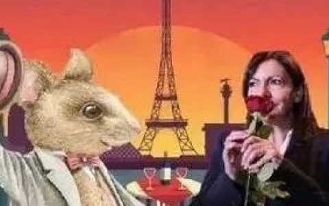 巴黎鼠患成灾，市长宣布用老鼠共存