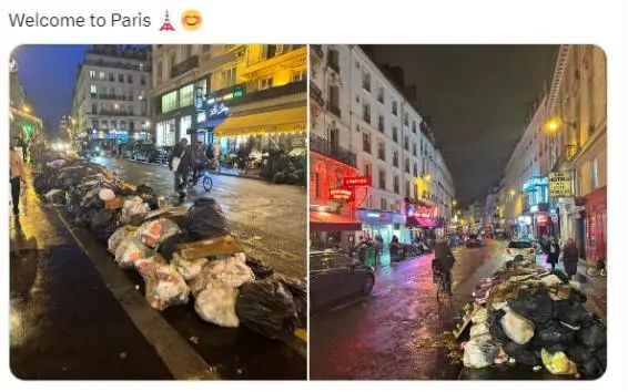 巴黎鼠患成灾，市长宣布用老鼠共存